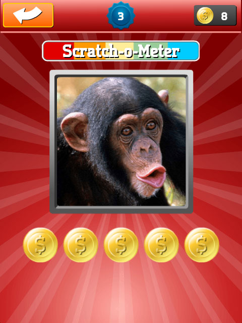 Rubbel & errate Tiere